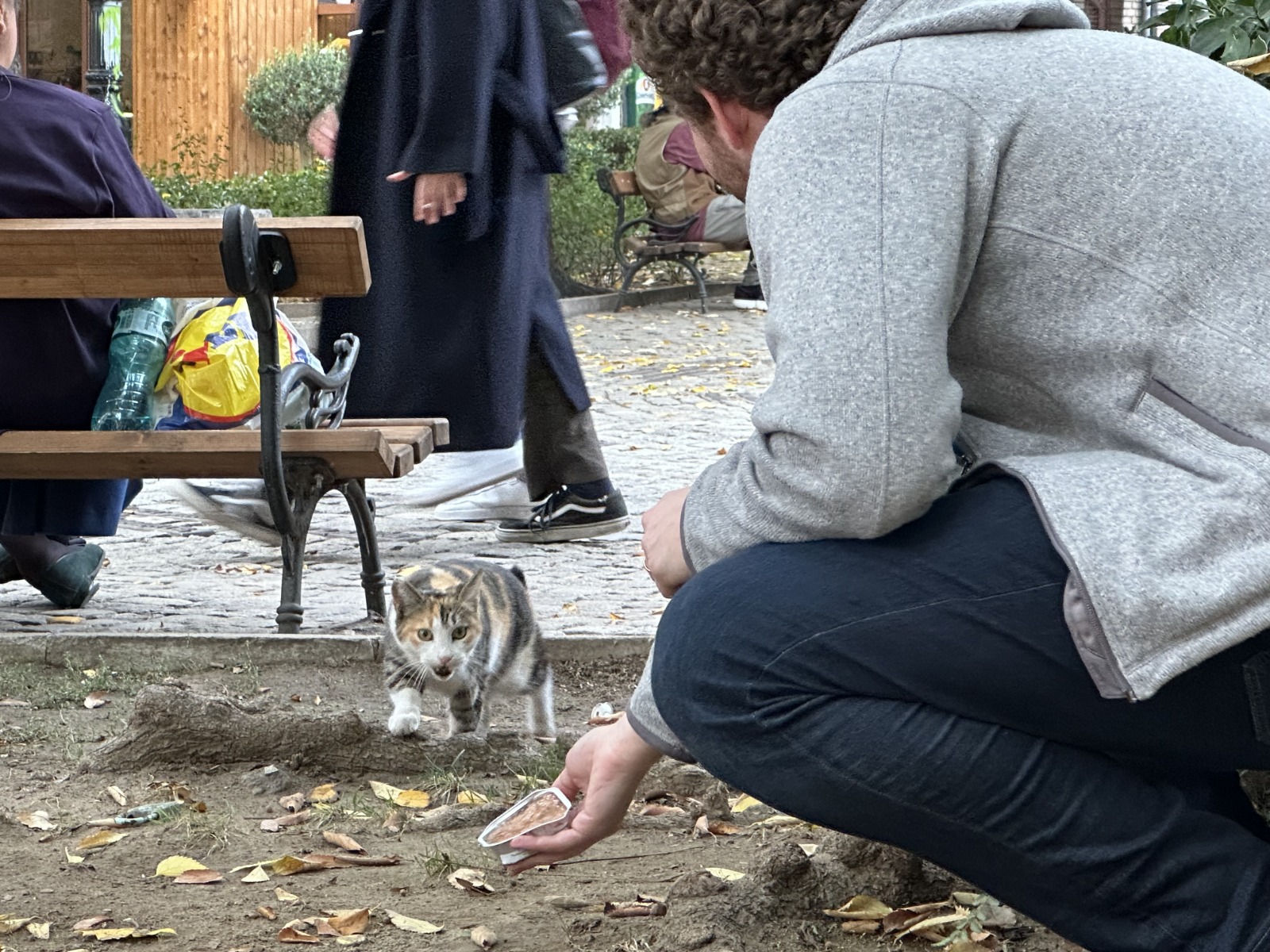 View from the side/behind of me holding cat food to a brown and white cat. The cat is walking towards me with interest in its eyes and an open mouth.